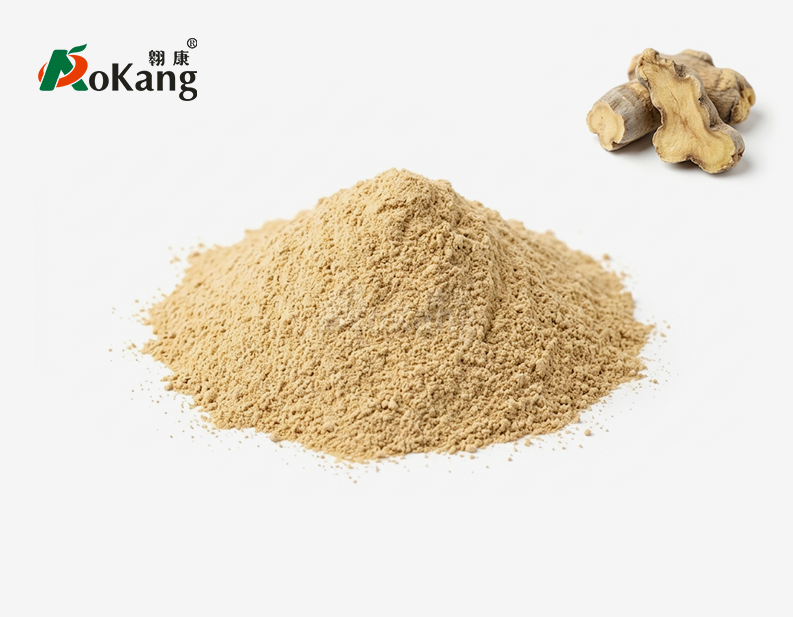 Rehmannia Glutinosa Powder